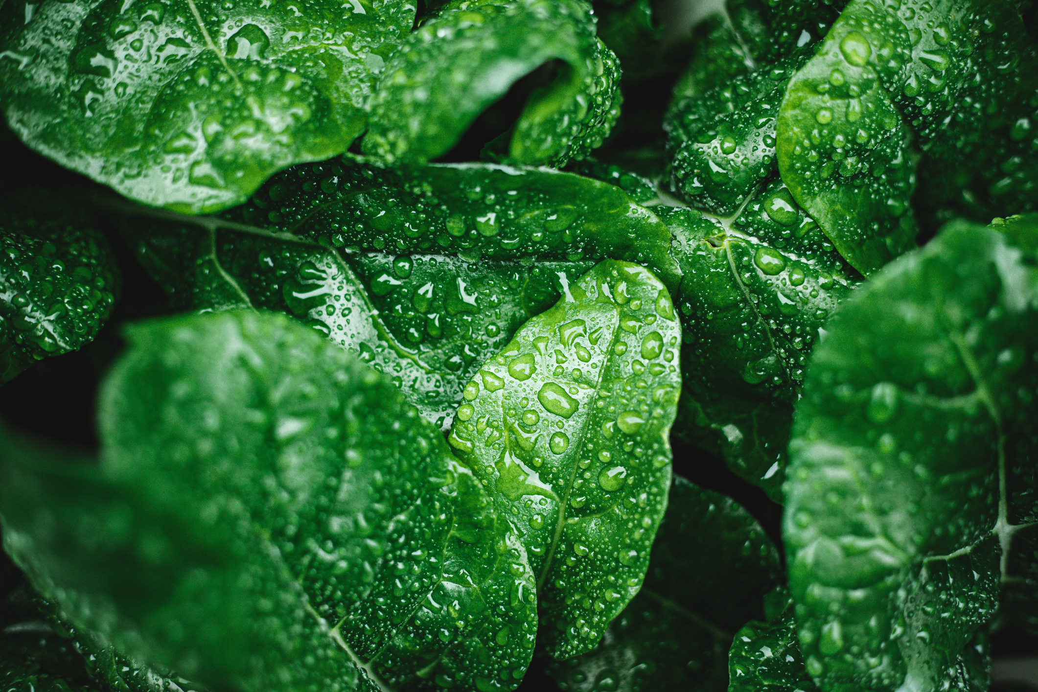 5 tips för att minska din klimatpåverkan