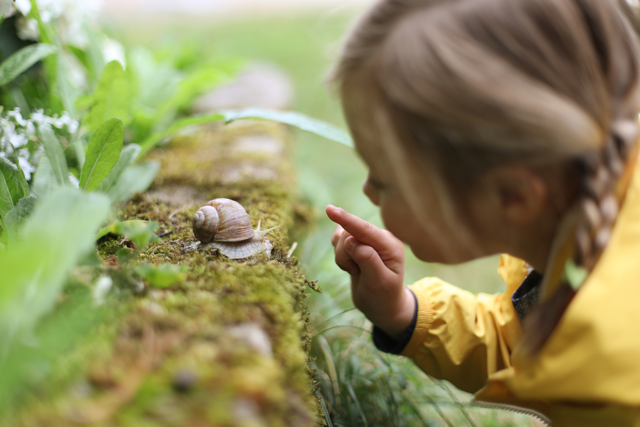 Minska miljögifterna med Svanen