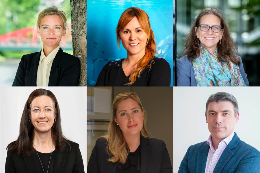 Svanen landar i Almedalen