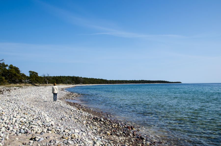 Hälften av nordborna har berövats natur