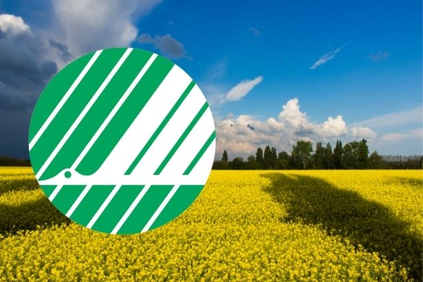 Nordisk Miljömärkning är solidarisk med Ukraina